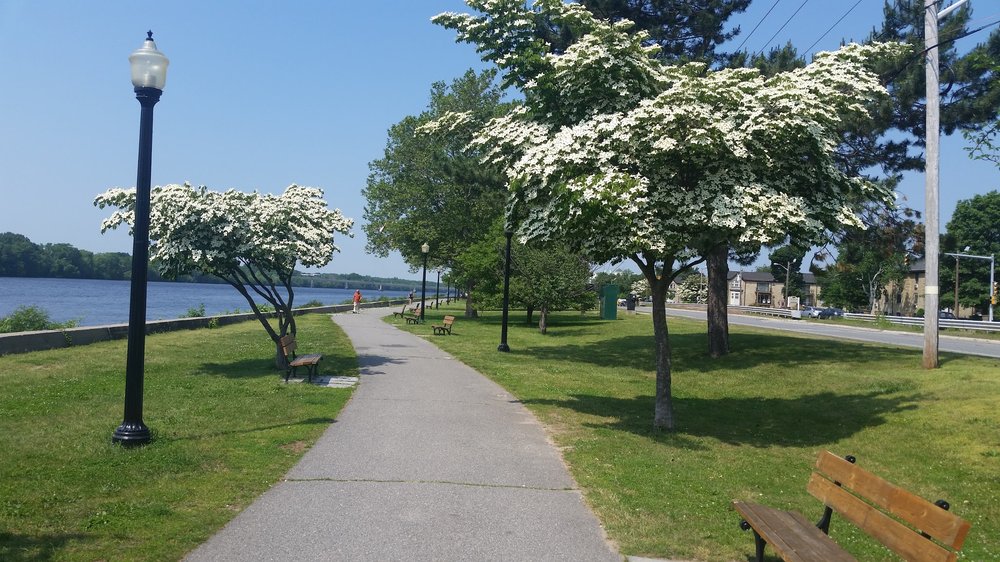 Rynne Beach Image