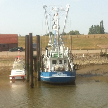 Butjadinger Fischereigenossenschaft - Ebbe - Seafood Near Me - Butjadingen, NI Butjadinger Fischereigenossenschaft - Ebbe - Seafood Near Me - Butjadingen, NI