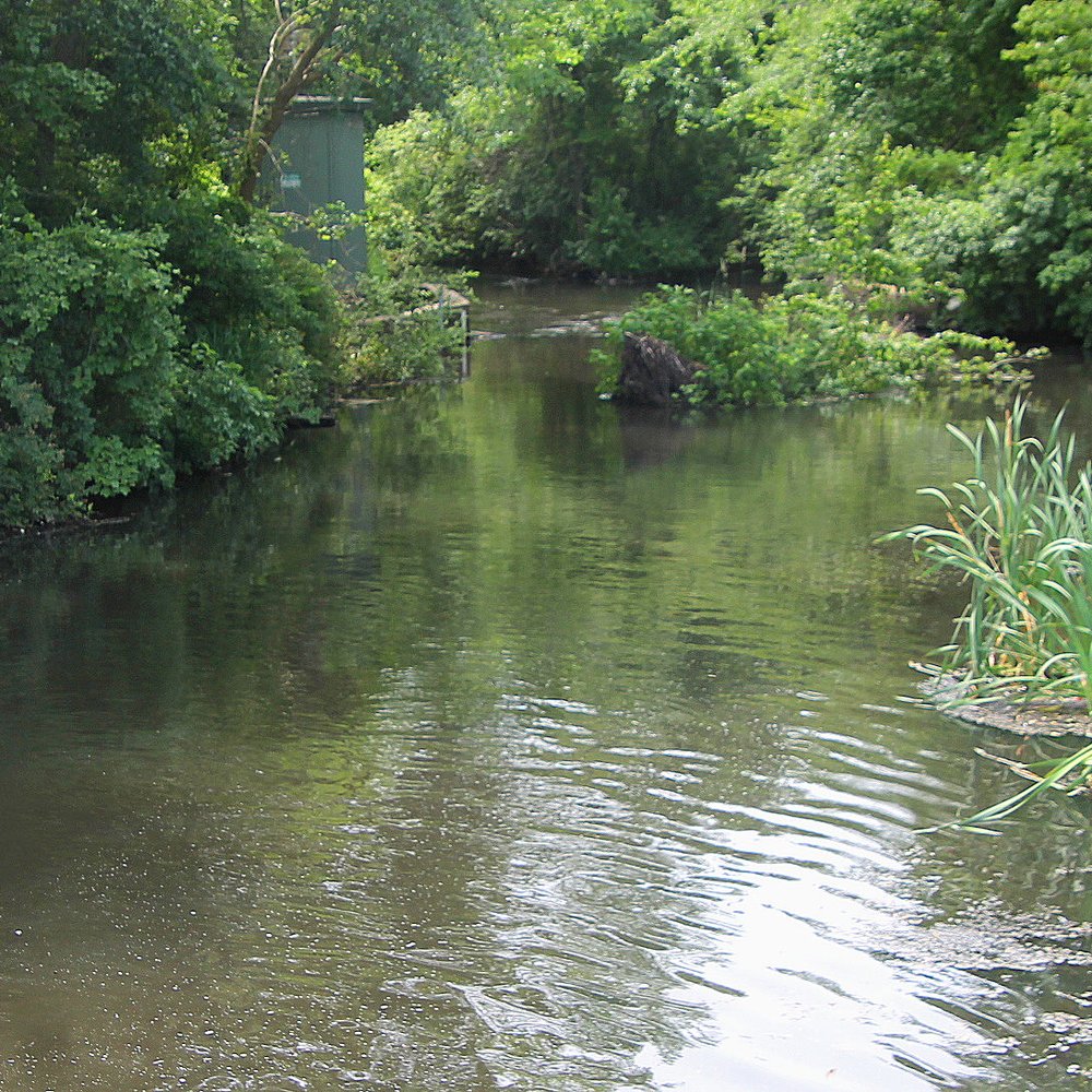 Southard's Pond - Flowing south - Lakes Near Me - Babylon, New York