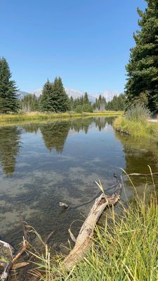 Schwabacher Landing by null
