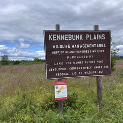 Kennebunk Plains Wildlife Management Area - What a cool place!