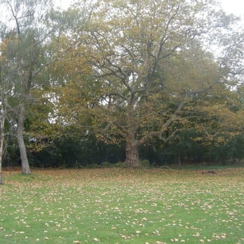 Morton Park - Parks Near Me - Newport, Rhode Island Morton Park - Parks Near Me - Newport, Rhode Island