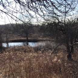I went here on a sunny day in February and enjoyed the walk, in the summer there are apple trees. I went here on a sunny day in February and enjoyed the walk, in the summer there are apple trees.