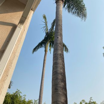 Fnl Landscaping - After - Landscaping Near Me - Costa Mesa, California Fnl Landscaping - After - Landscaping Near Me - Costa Mesa, California