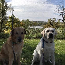 Great River Road Visitor & Learning Center - Bluff looking over the river with my #RoadsideTails companions