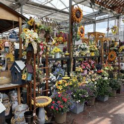 Mason Farms Country Market - Inside