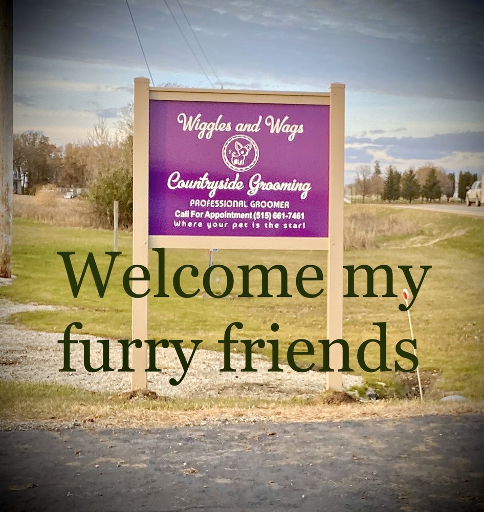 WIGGLES AND WAGS COUNTRYSIDE GROOMING Updated June 2024 14 Photos