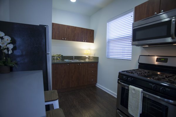 Hollywood Off Vine (Hov) by null