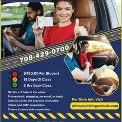 Ultimate Driving School