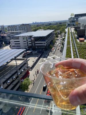 Top of the Yard Rooftop Bar & Bites by null
