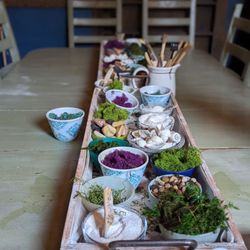 Little Fairy Garden