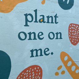 Plant in OKC! Plant in OKC!