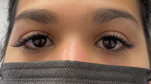 MissCat Eyelash by null