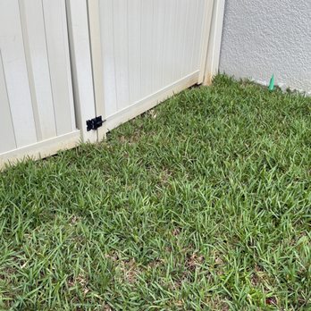 Hogan Landscapes - Gate won't swing because sod is too high - Landscaping Near Me Hogan Landscapes - Gate won't swing because sod is too high - Landscaping Near Me