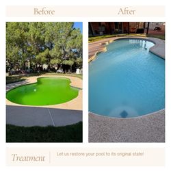Smock It Pool Service - Really great service and did an awesome job cleaning and removing algae blooms from pool!