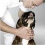 Photo of Tierklinik Steyr - Notdienst