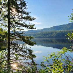 Alaska Nature Guides