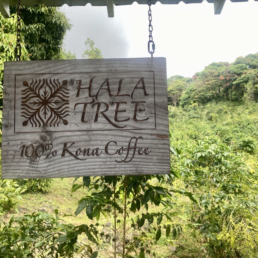 Hala Tree Coffee - Attraction Farms Near Me - Captain Cook, Hawaii Hala Tree Coffee - Attraction Farms Near Me - Captain Cook, Hawaii