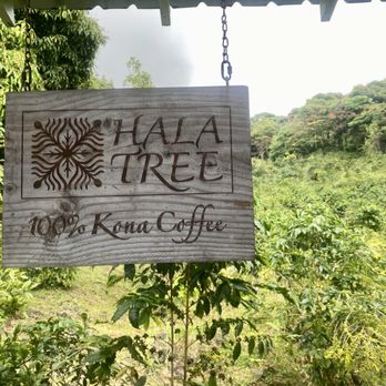 Hala Tree Coffee - Attraction Farms Near Me - Captain Cook, Hawaii