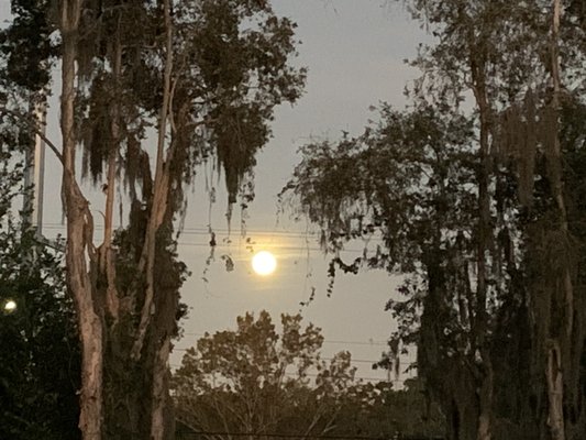 Marijuana Dispensary In Tampa Fl Tampa Fl Marijuana Dispensary