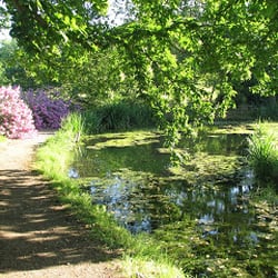 Château de Boucéel - The grounds