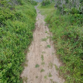 Estero Trail - Trail with a few mountain bike tracks - Hiking Near Me - Point Reyes Station, California