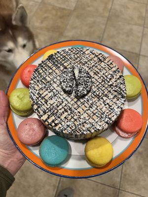 Gemelli - Artisanal Gelato & Dessert Café by null