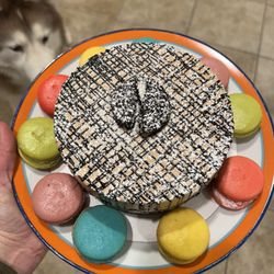Gemelli - Artisanal Gelato & Dessert Cafe - Oreo gelato cake