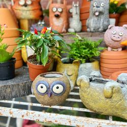 The Potting Shed By Carlisle - Cute owl pot | IG @moniquedao