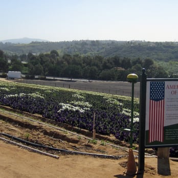 The Flower Fields - American flag in flowers - Venues & Event Spaces Near Me - Carlsbad, California
