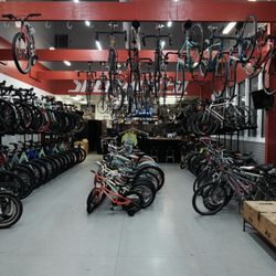 The Bike Doctor