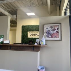 Hammond Dental Sandy Springs - Their moss wall and front desk!