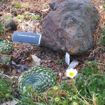 Allen Centennial Gardens - Parks Near Me - Madison, Wisconsin