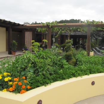 Ascension Vineyard - Wineries Near Me - Matakana, AUK