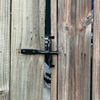 AnM Residential Plumbing And Maintenance gift card