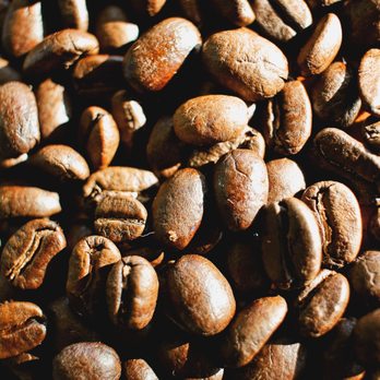 Forage Market - Bucklyn beans from Brooklin, Maine - Bagels Near Me - Lewiston, Maine
