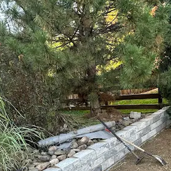 Denis Landscaping