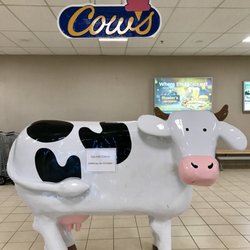 YYG Charlottetown Airport - Cows cow
