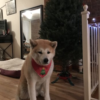 Anthony Gallo Nursery - I was told not to pee on the tree or I'm in big trouble! - Nurseries & Gardening Near Me - Brooklyn, New York Anthony Gallo Nursery - I was told not to pee on the tree or I'm in big trouble! - Nurseries & Gardening Near Me - Brooklyn, New York