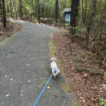 Medoc Mountain State Park - Parks Near Me - Hollister, North Carolina