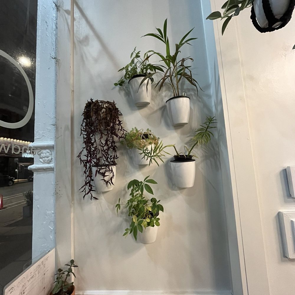 Oud Coffee & Cafe - decor - Coffee & Tea Near Me - Chicago, Illinois Oud Coffee & Cafe - decor - Coffee & Tea Near Me - Chicago, Illinois