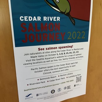 Cedar River Watershed Education Center - Salmon run - Venues & Event Spaces Near Me - North Bend, Washington