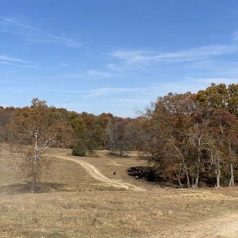 Fowler Pumpkin Patch - View of the pasture on the hayride. - Pumpkin Patches Near Me - Bloomington, Indiana