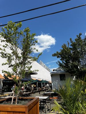 Spot of Tea - Union Market by null