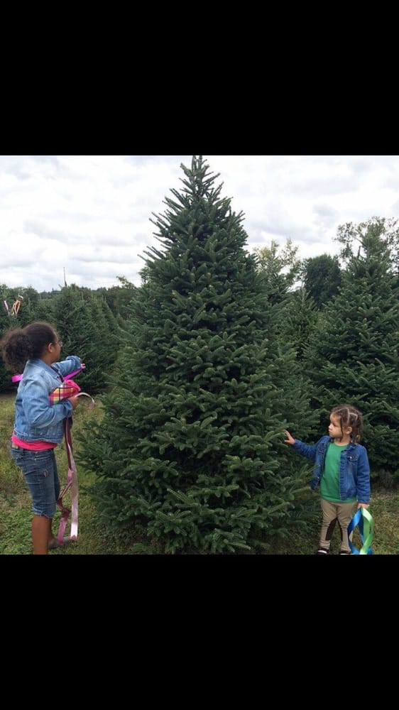 PAUL BUNYAN’S FARM & NURSERY 11 Photos 500 Fuller Rd, Chicopee, MA