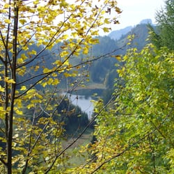 Taubensee