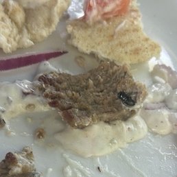 Fly in food