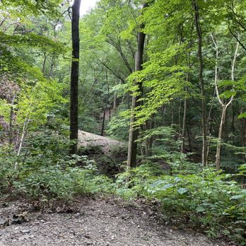 Highbanks Metro Park - Parks Near Me - Lewis Center, Ohio Highbanks Metro Park - Parks Near Me - Lewis Center, Ohio
