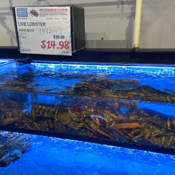 H Mart - Mesa - Lobstet - Grocery Near Me - Mesa, Arizona