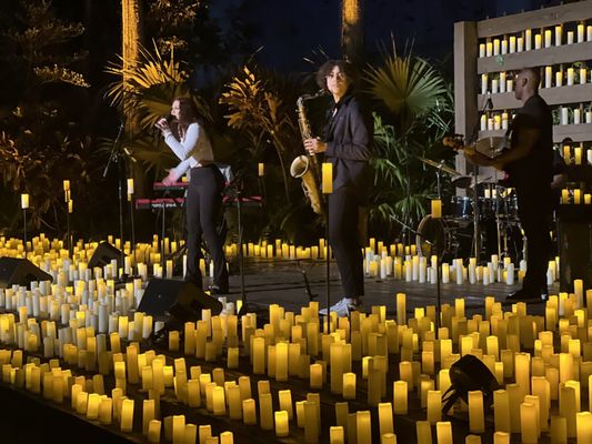 Jungle Island by null